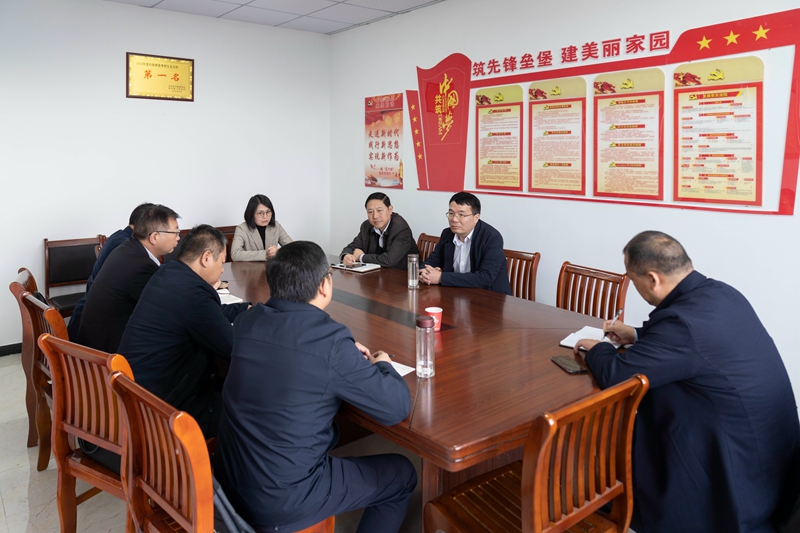 陈明生到潜山调研统一战线工作(图3)
