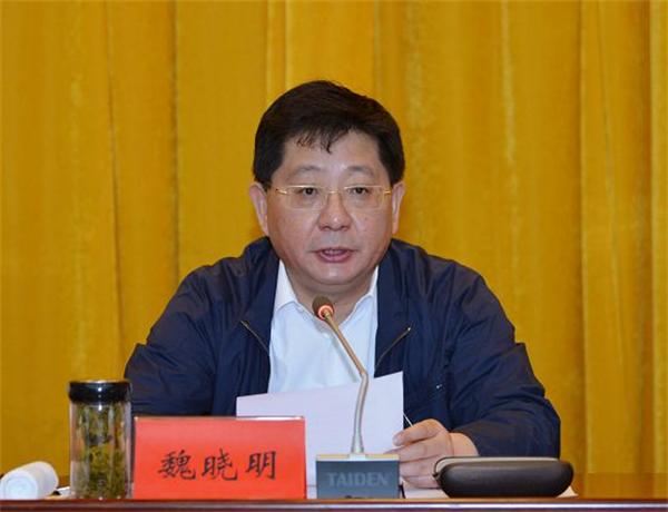 魏晓明讲话 陈冰冰主持 康正和张金锐出席