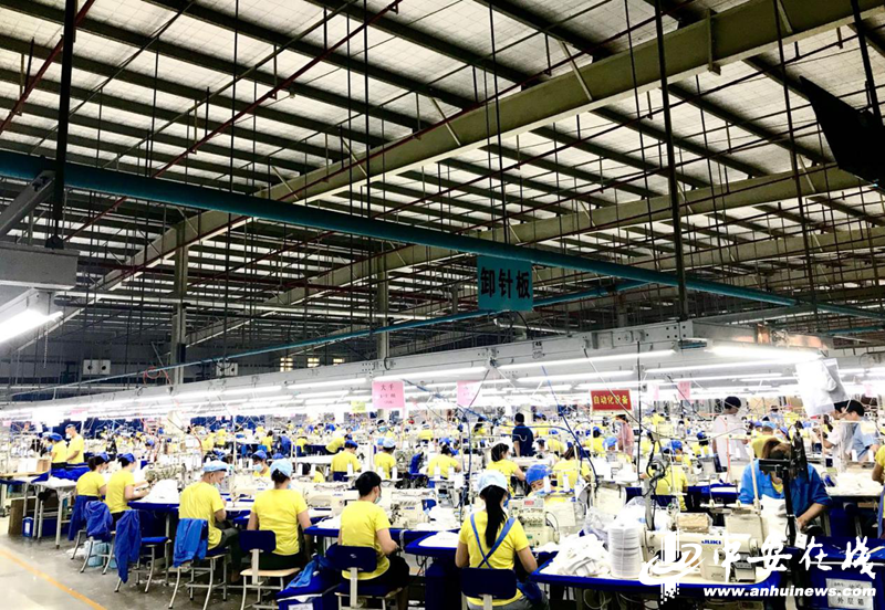 裁剪,缝制,包装……6月9日,记者走进申洲针织(安徽)有限公司生产车 